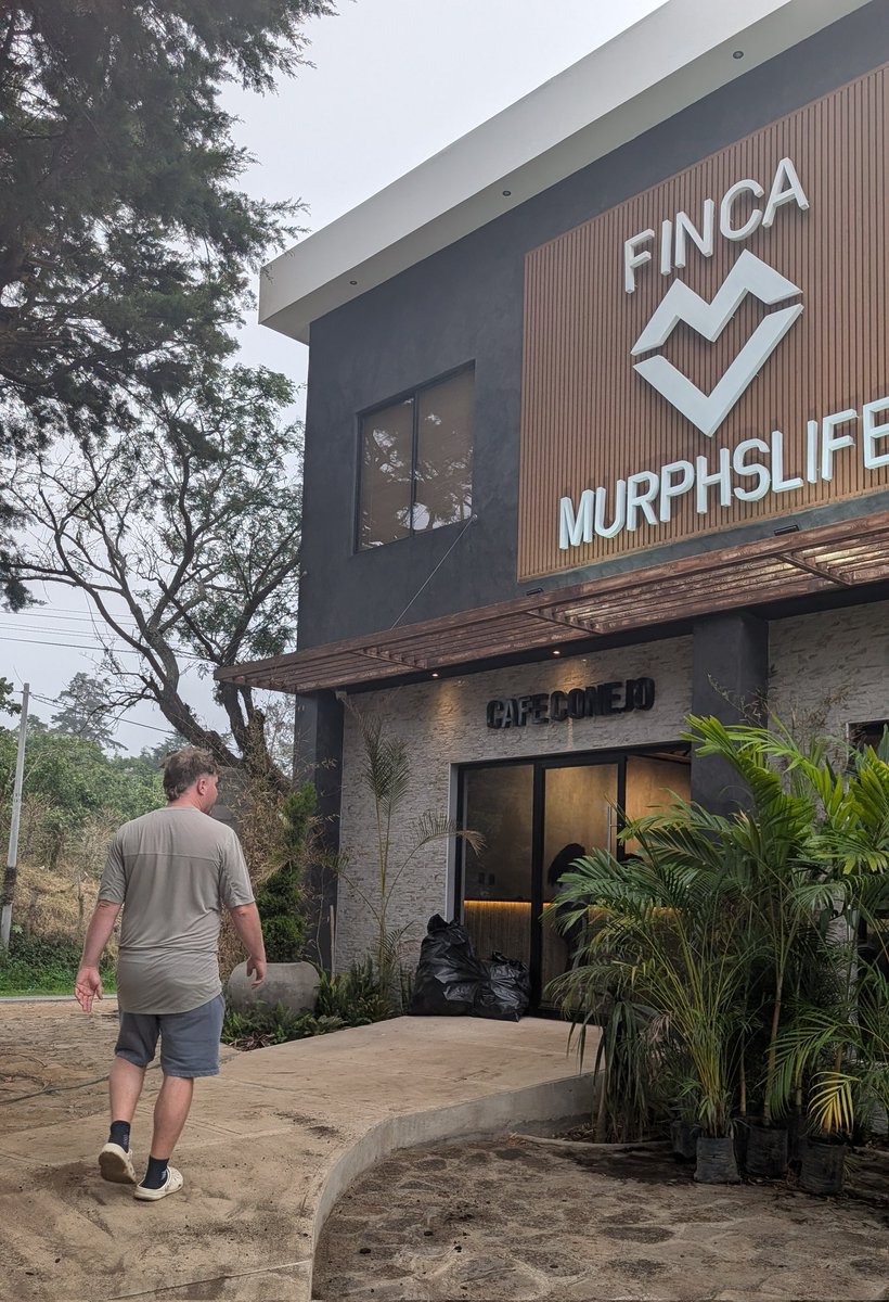 My Latin Life 🌴 tweet media