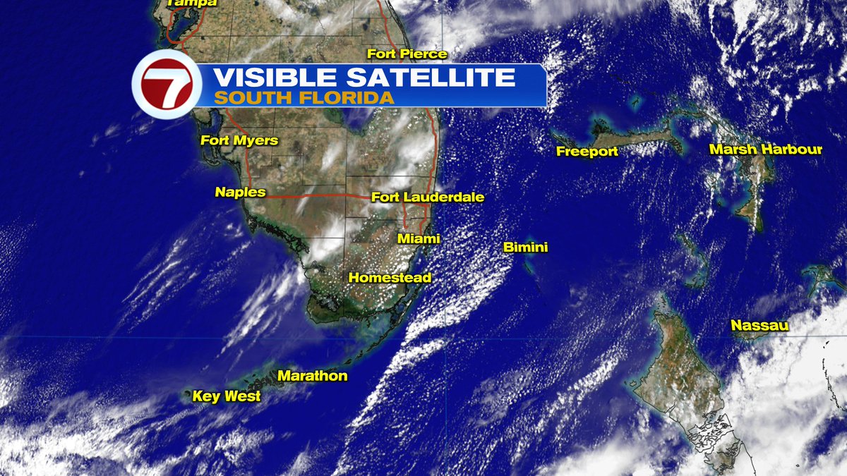 Erika Delgado tweet media