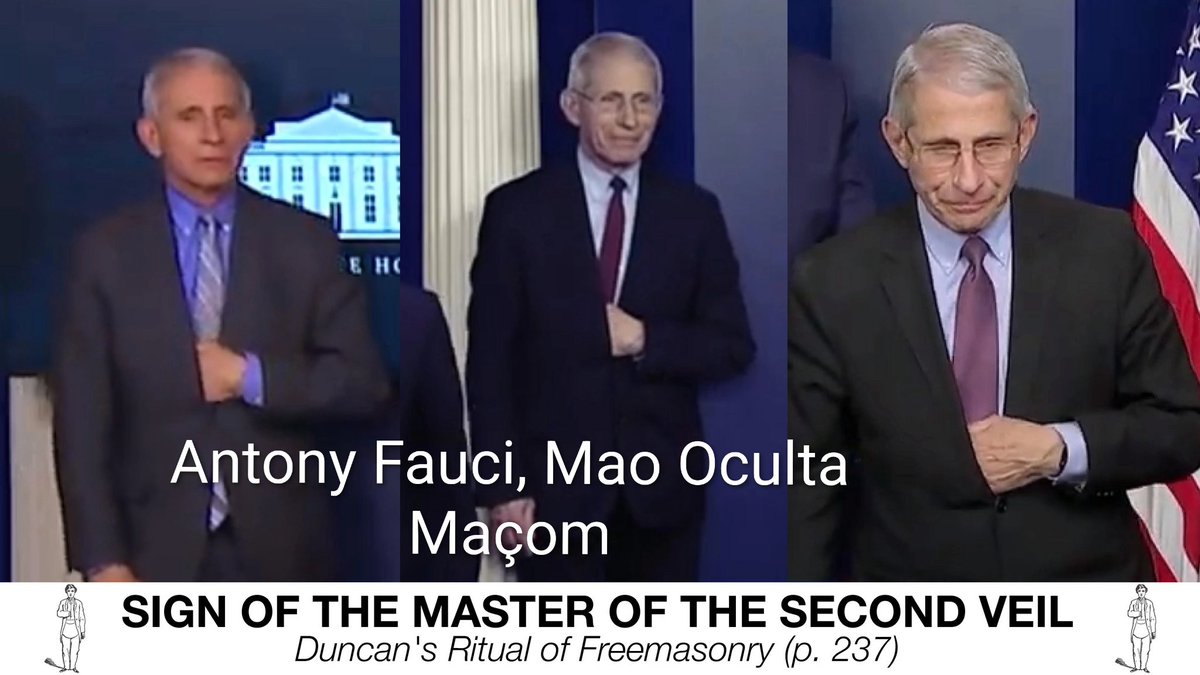 nativewarrior tweet media