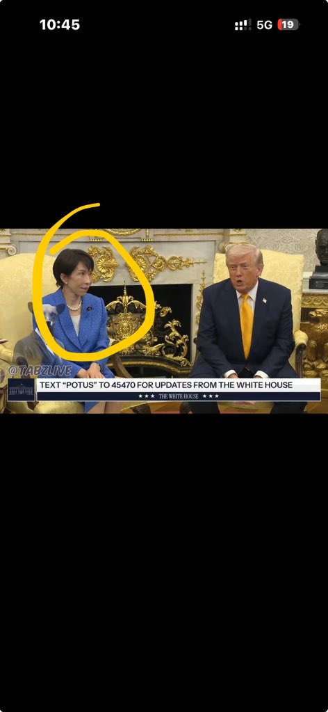 Tweet_Factory tweet media