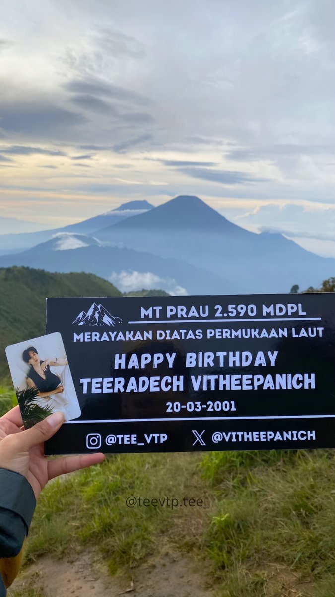 crestlynxstorm tweet media