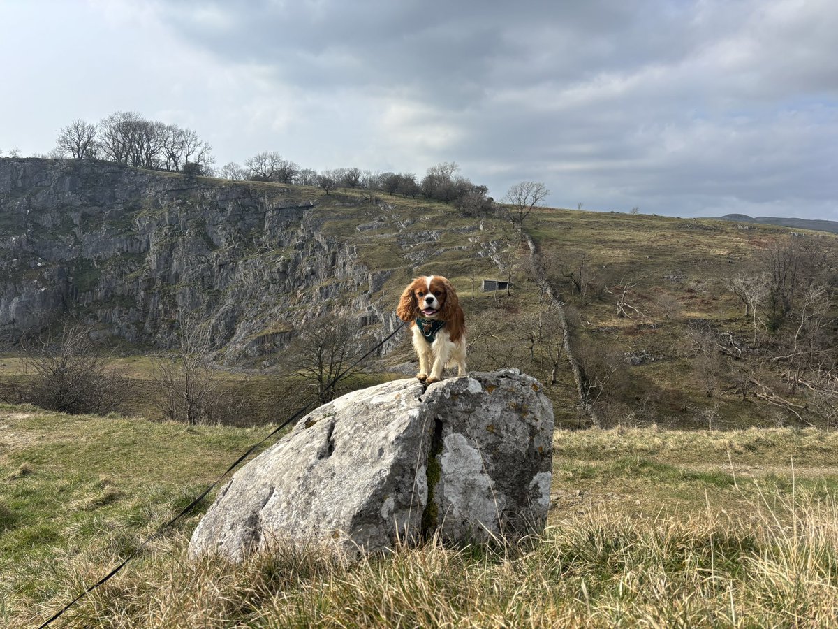 Bentley 🩵 tweet media