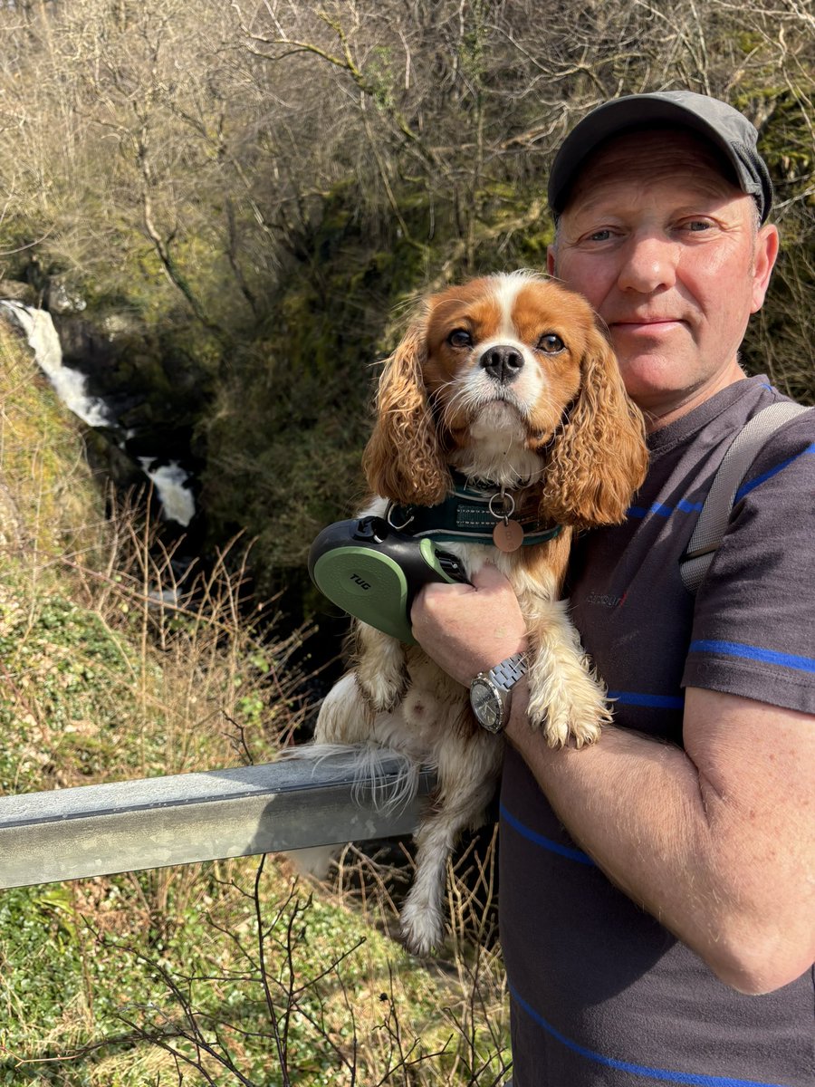 Bentley 🩵 tweet media