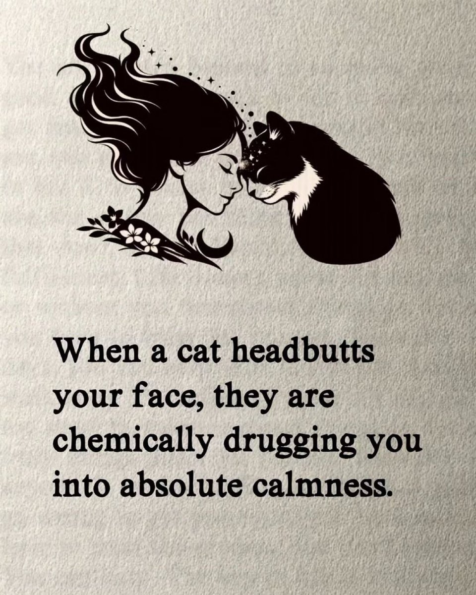 حمد بن فهد🧠 tweet media