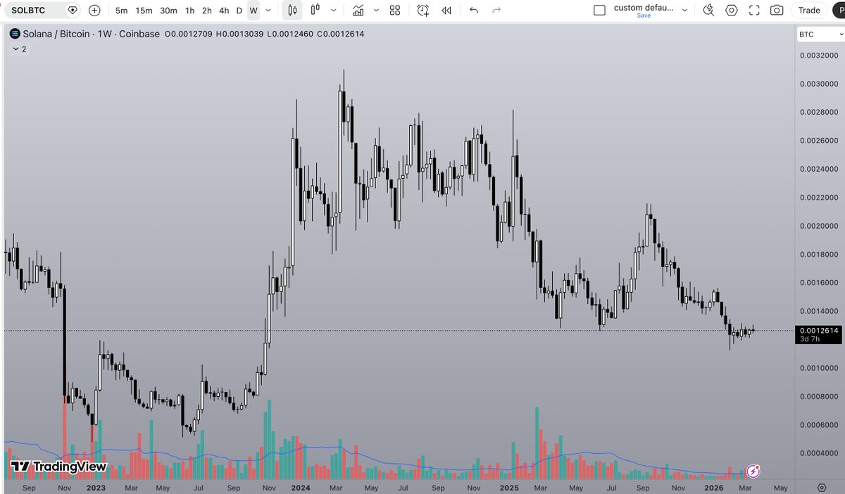 Busy Panda 🍉 tweet media