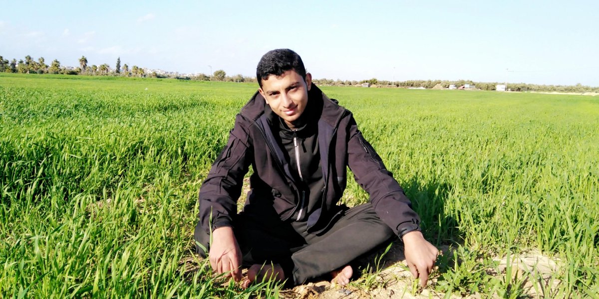 Moayed harazen 🇵🇸 tweet media