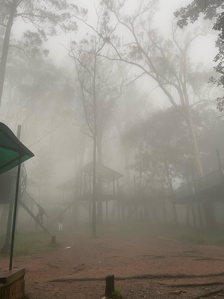 Aditya Nayak 👽 tweet media