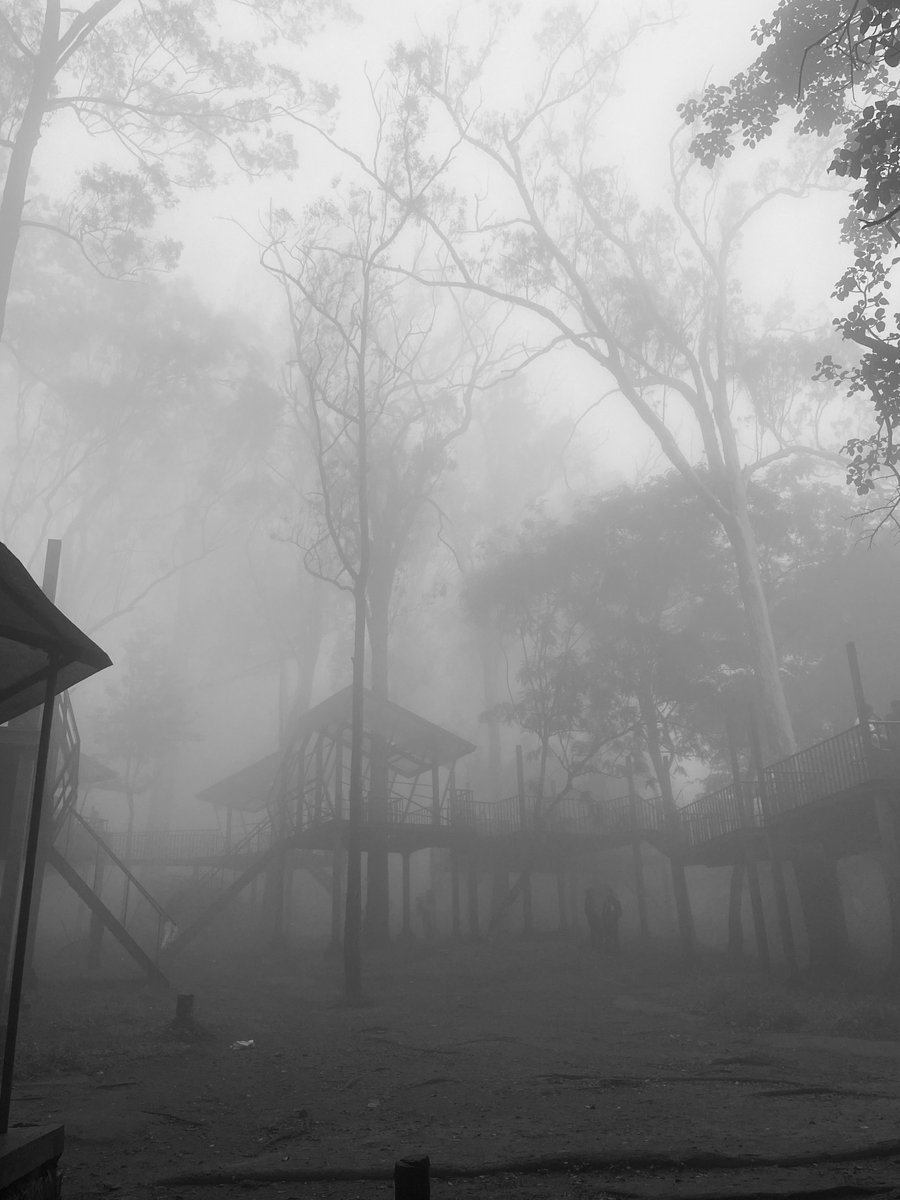 Aditya Nayak 👽 tweet media