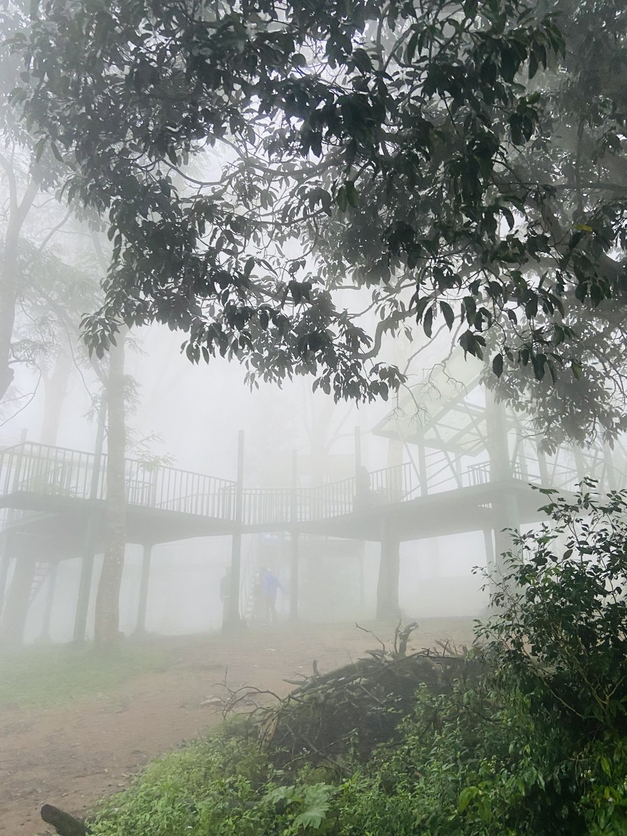 Aditya Nayak 👽 tweet media