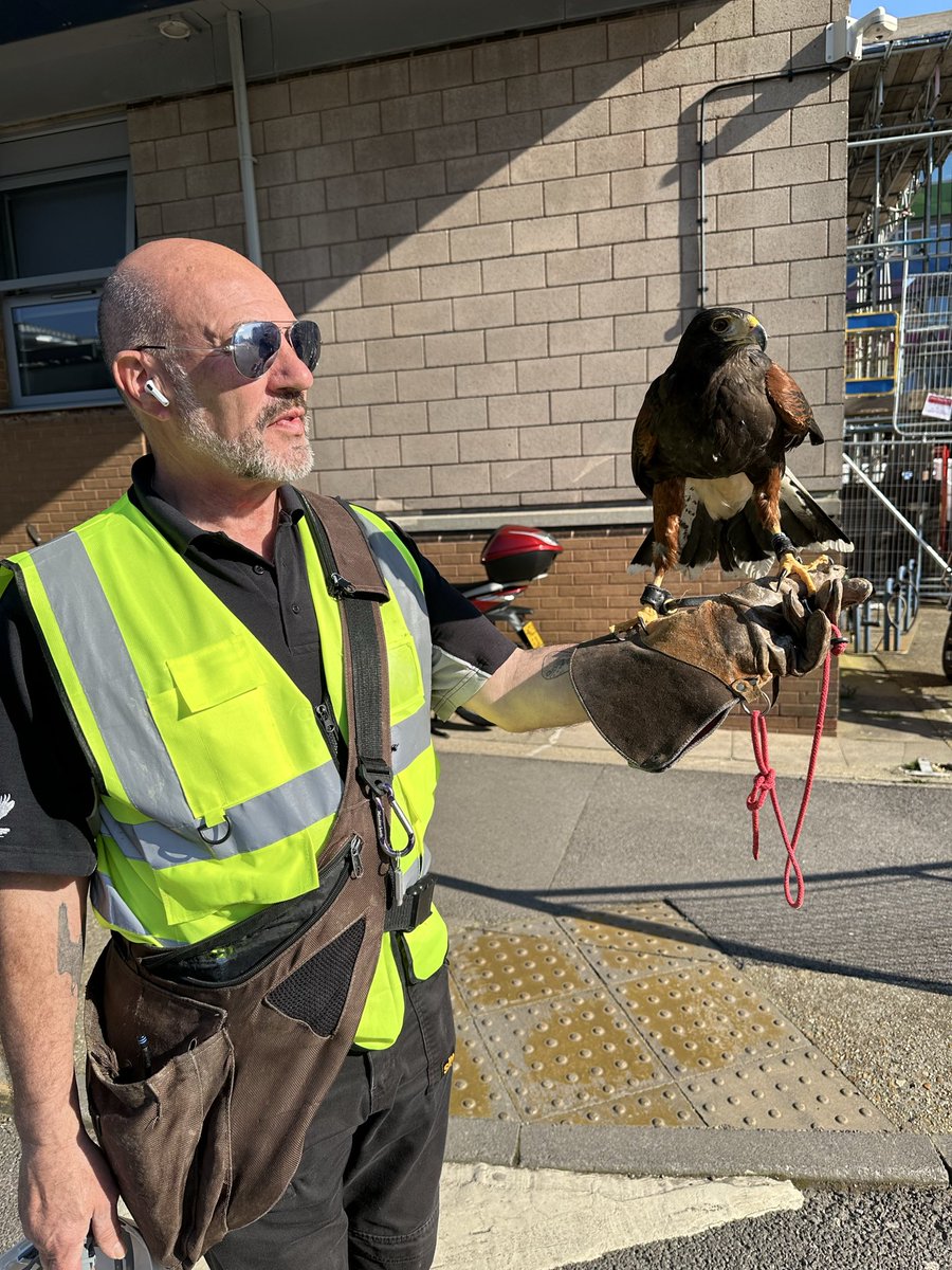 Dr Robert Michael Walsh tweet media