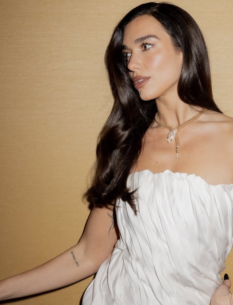 Central Dua Lipa Brasil tweet media