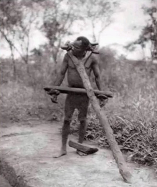 Ton Smit tweet media