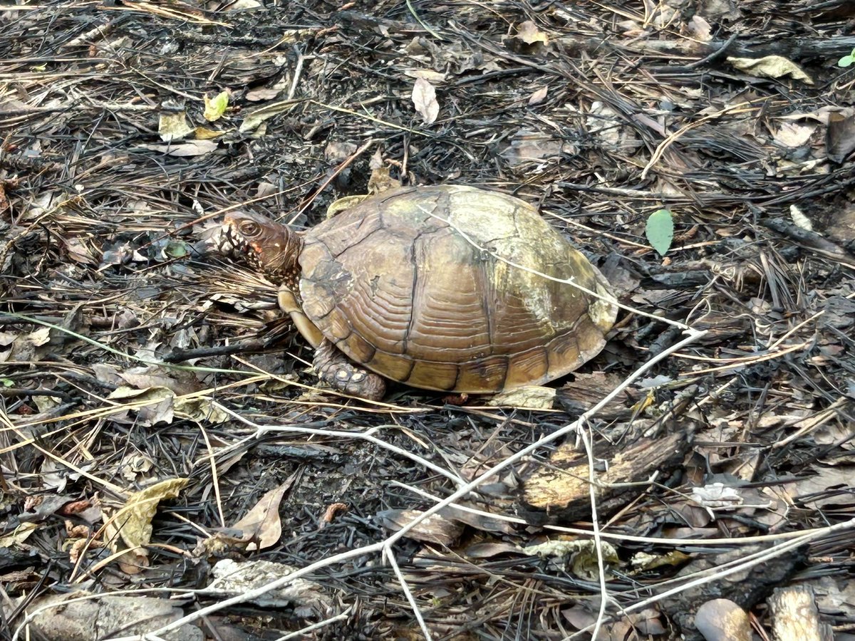 SıLэПТxGuЯu tweet media