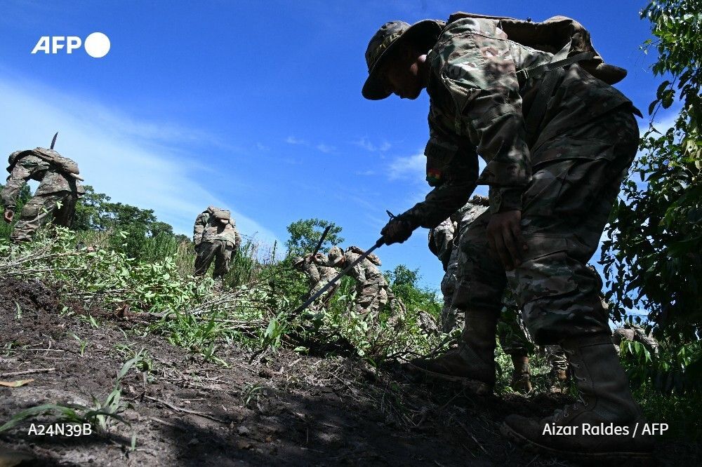 AFP News Agency tweet media