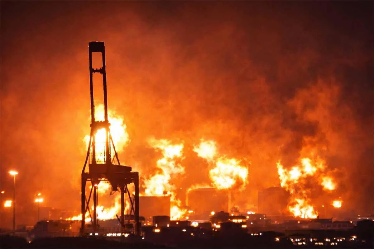 Genghis Kanye 🦍☀️ tweet media