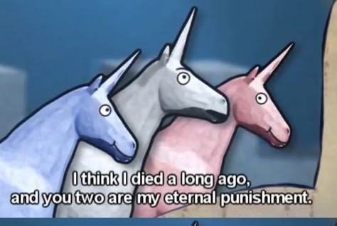 Travie 🐧 tweet media