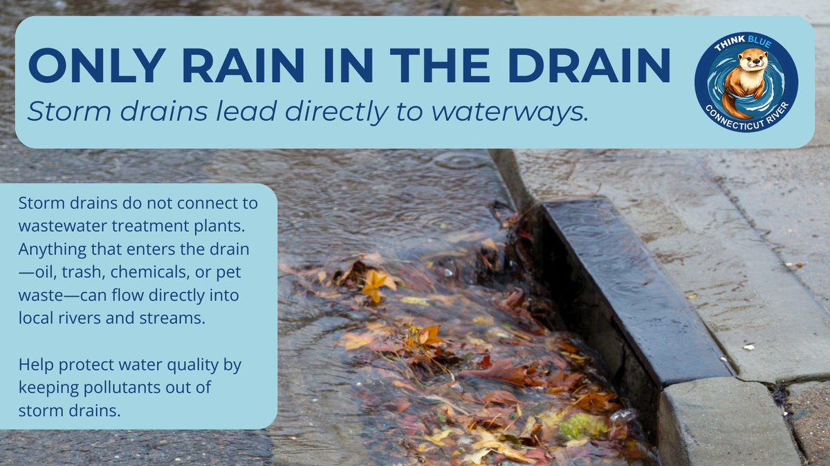 Think Blue Connecticut River tweet media