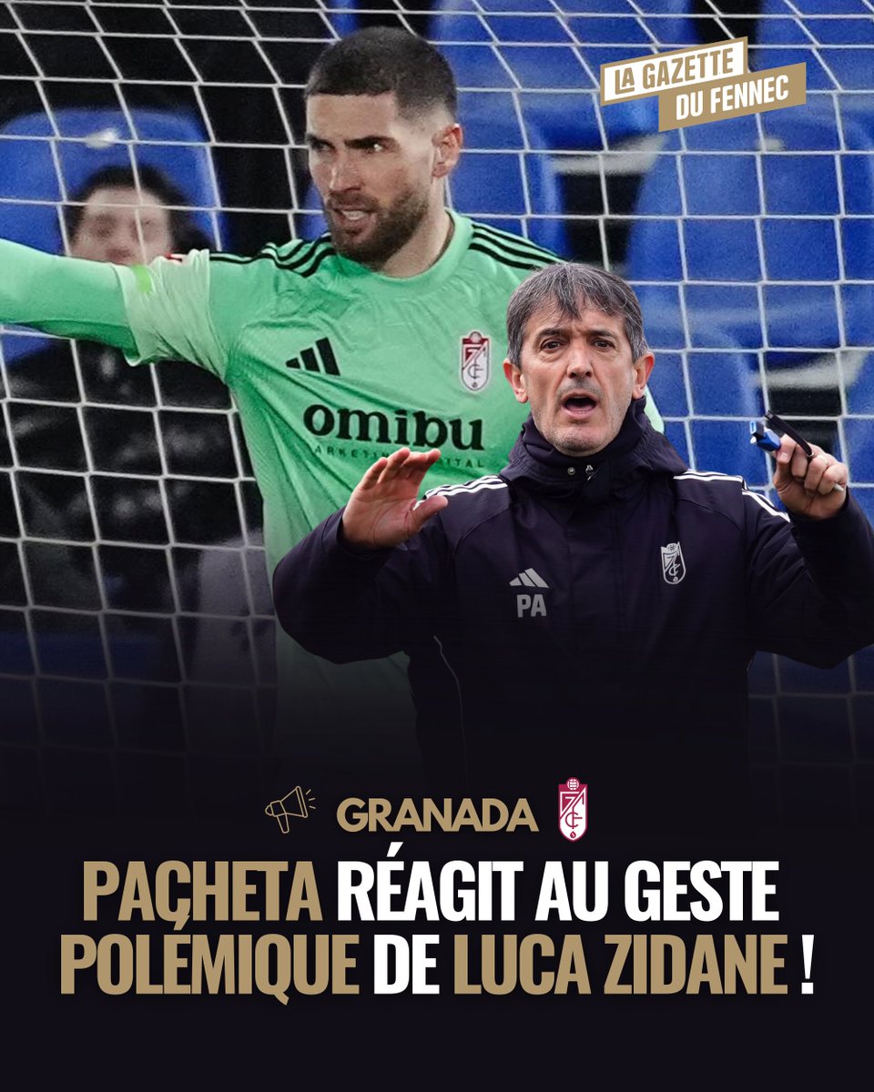 La Gazette du Fennec tweet media