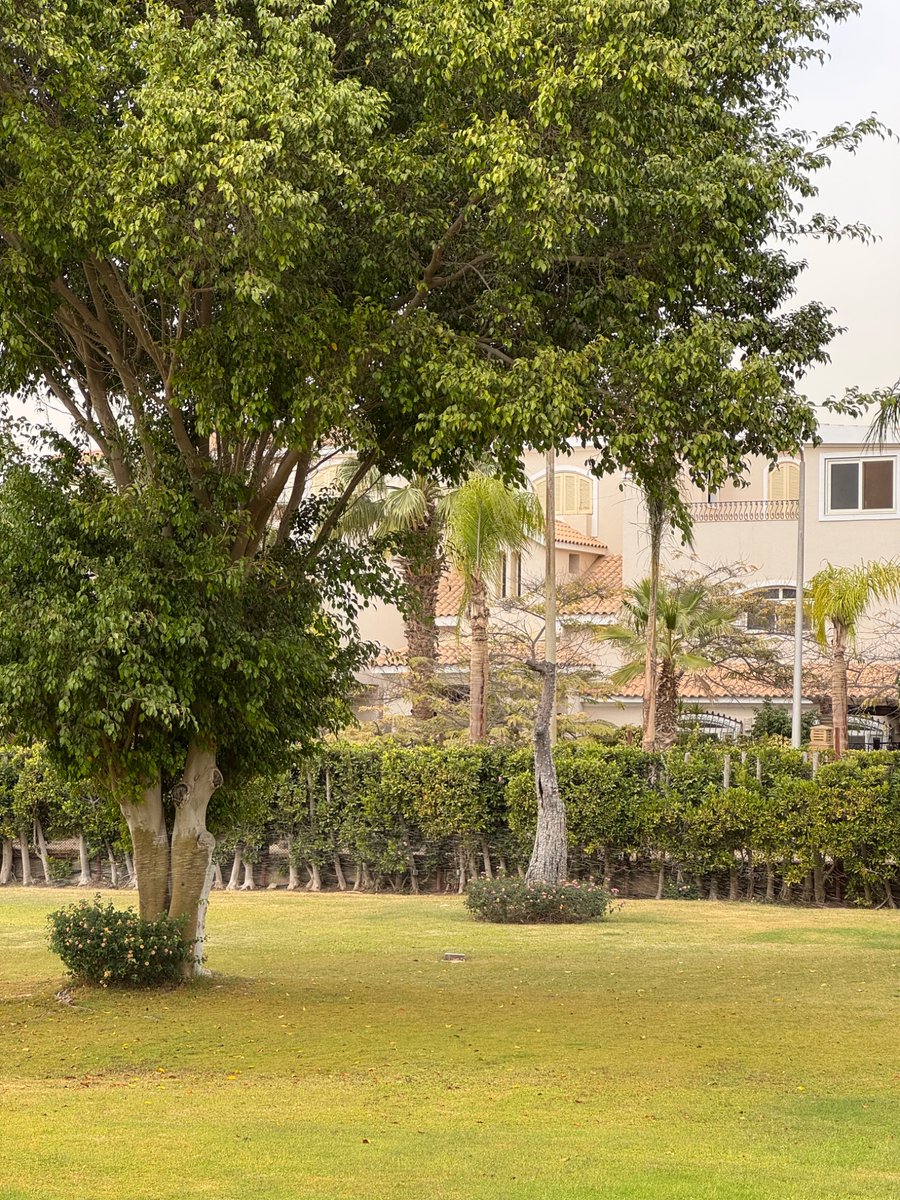 the cool hotdog tweet media