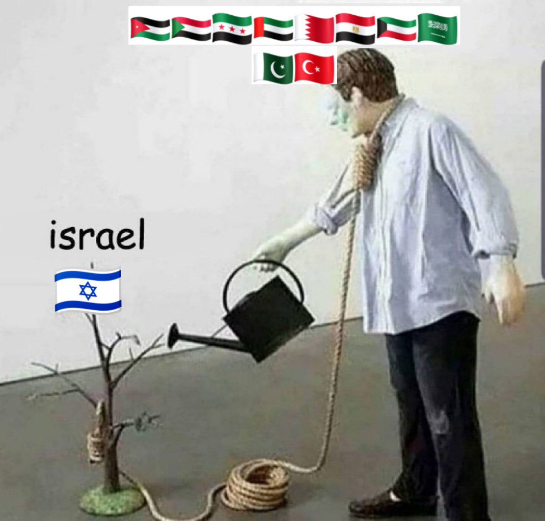 M Rahaman tweet media