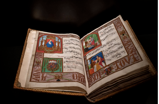 Bart Van Loo tweet media