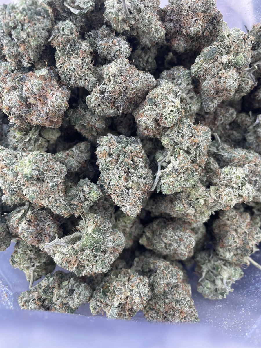 danielpingaa's tweet photo. Best Smoke In All of South Florida…Deliveries All Day w/ No Added Charge…Im Beating All Plug Prices LMK! #Miami #FTL #WestPalm #Weed #MiamiBeach #Broward #Opalocka #SouthBeach #Hialeah #Doral #Homestead #FtLauderdale #Plug #Orlando #Davenport https://t.co/aXDo0Wzzel