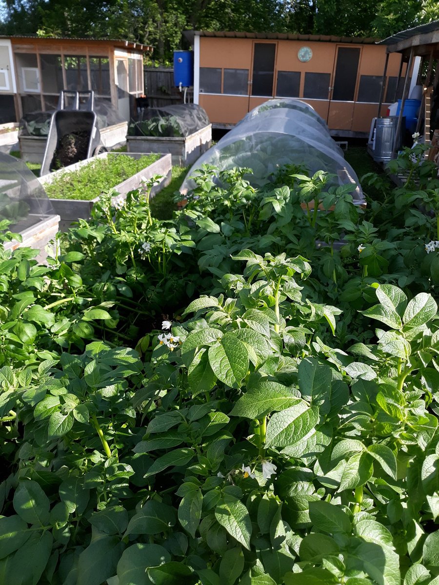 climbngrunt tweet media