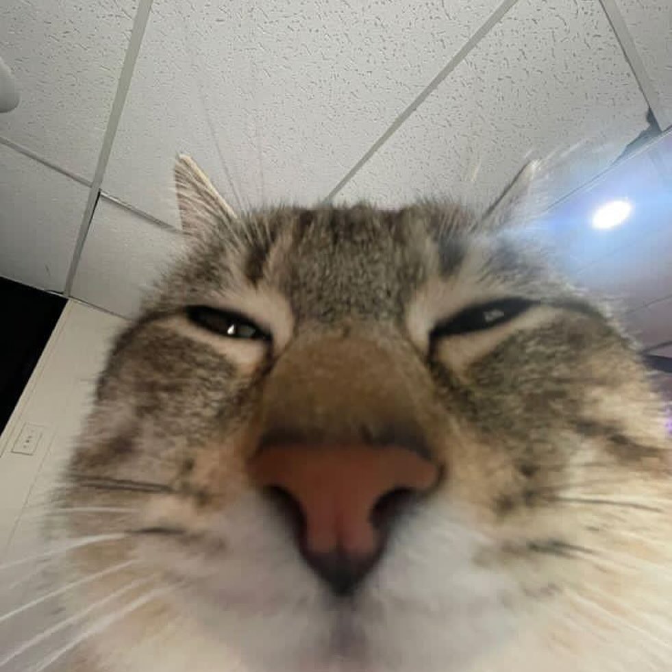 WILD SPICY🔥 tweet media