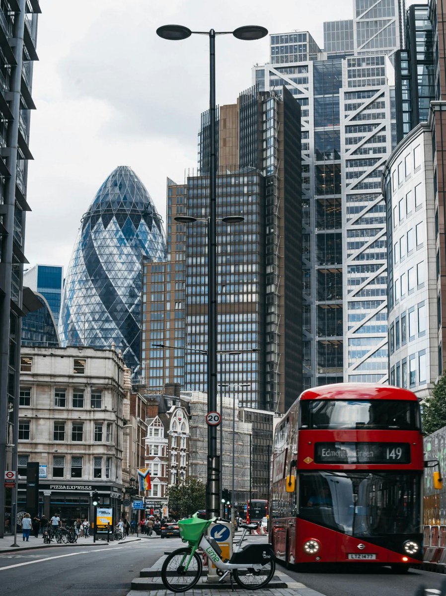 Wildscape Wonders tweet media