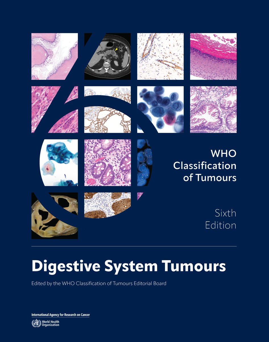 Miguel Reyes-Múgica tweet media