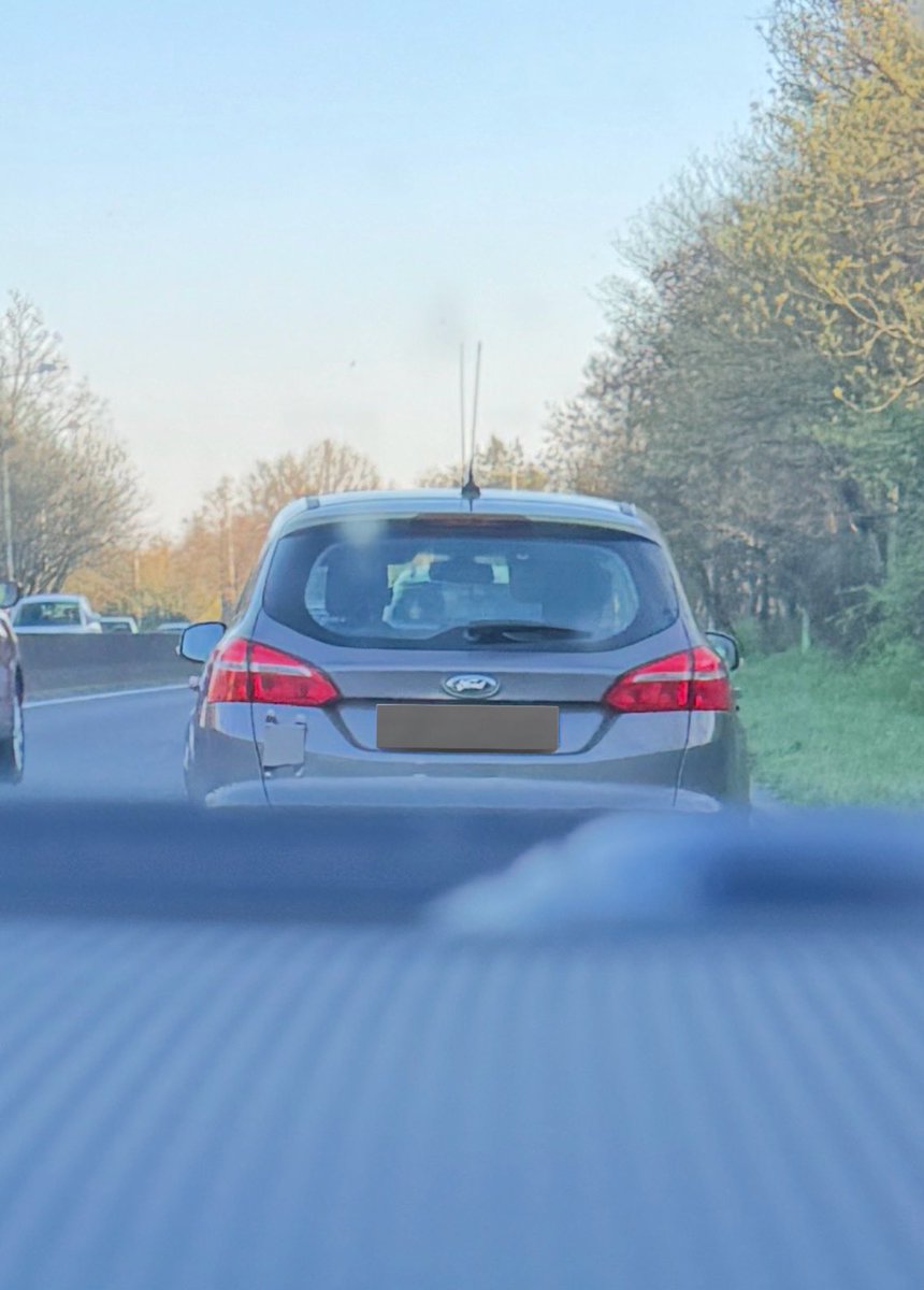 Nicorvette tweet media