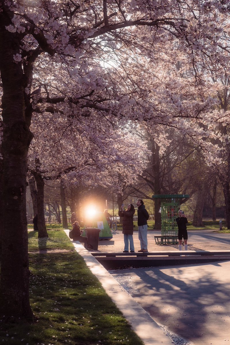 devundefined tweet media