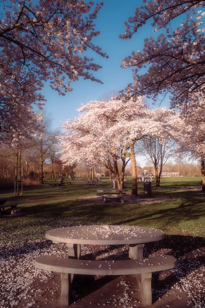 devundefined tweet media