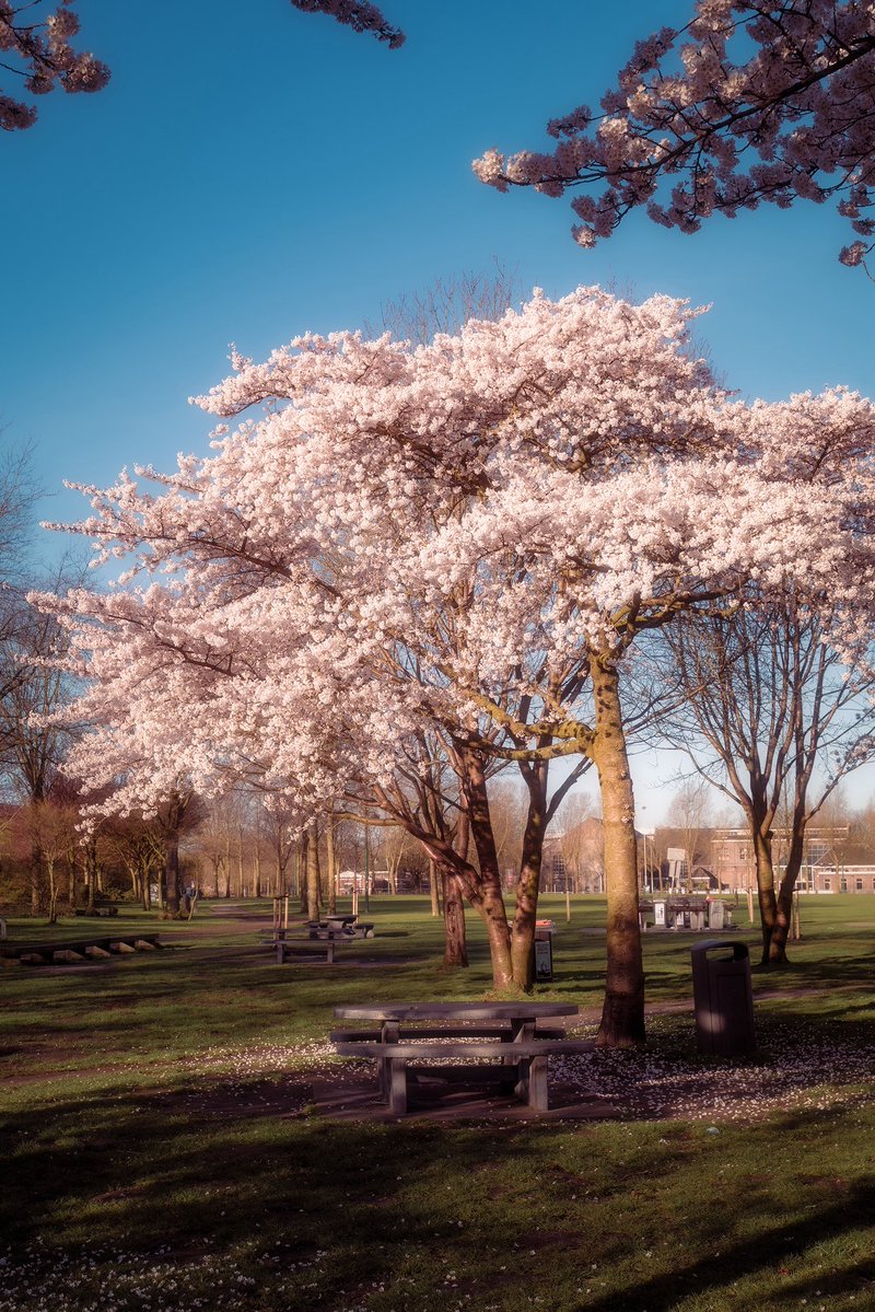 devundefined tweet media