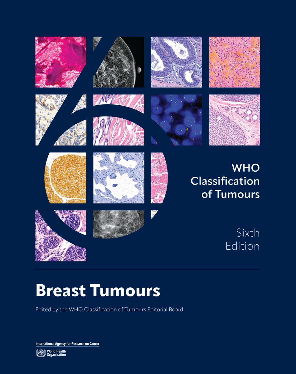 Miguel Reyes-Múgica tweet media