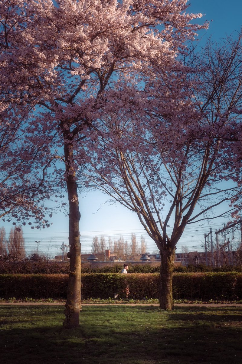 devundefined tweet media