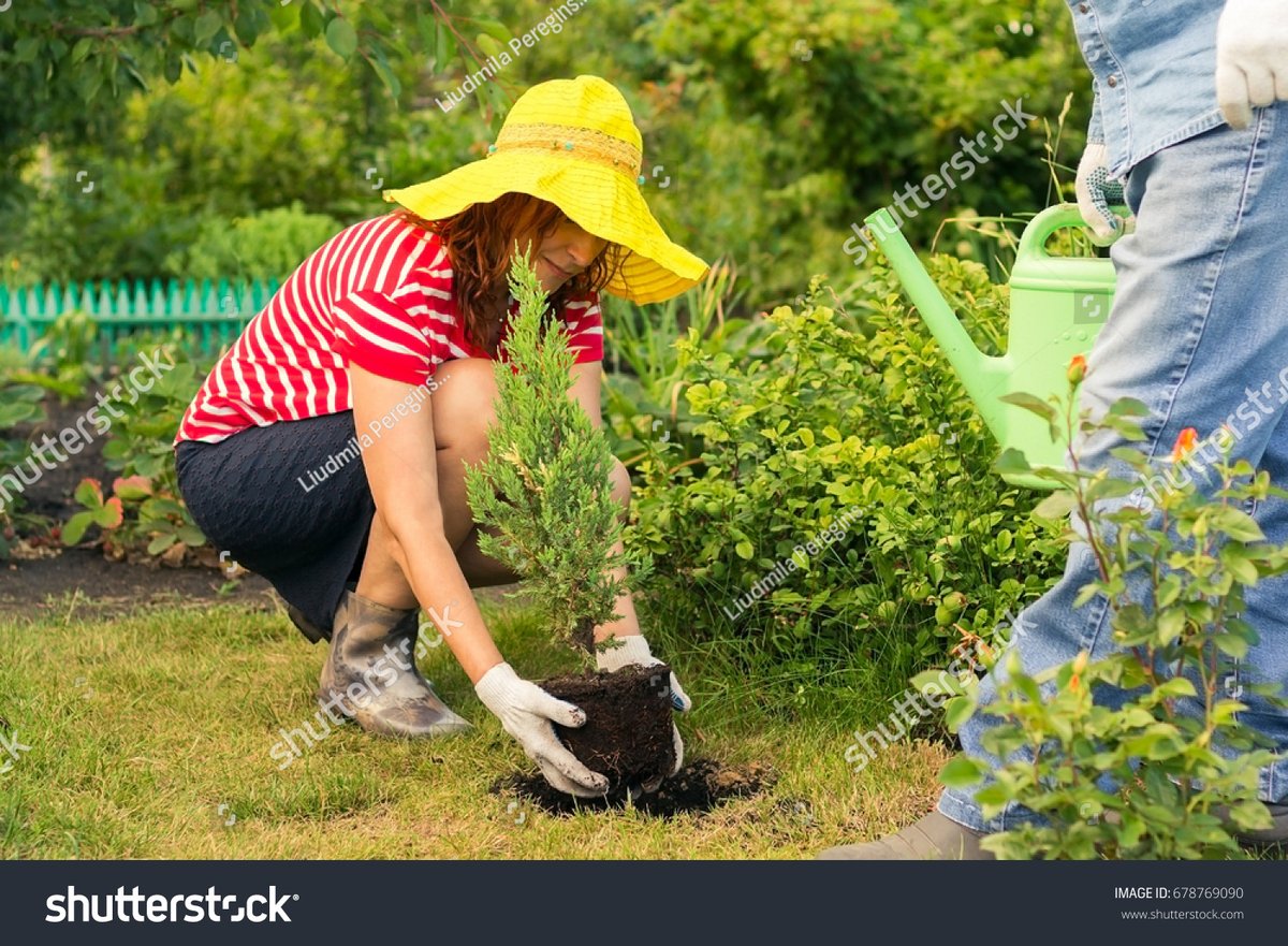 Thomas Aviles tweet media