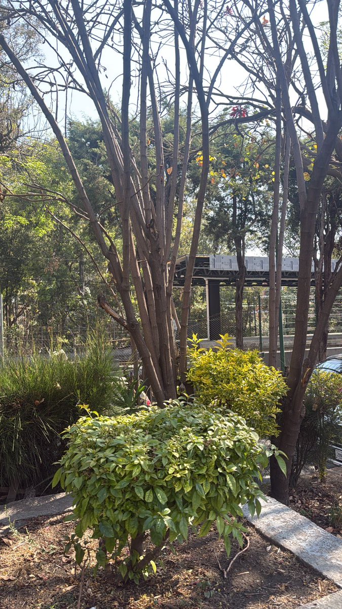 TEPEPAN VECINOS tweet media