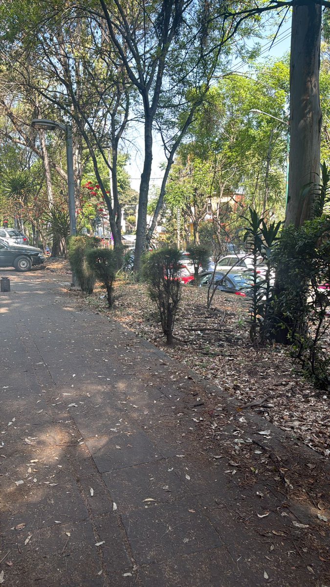 TEPEPAN VECINOS tweet media