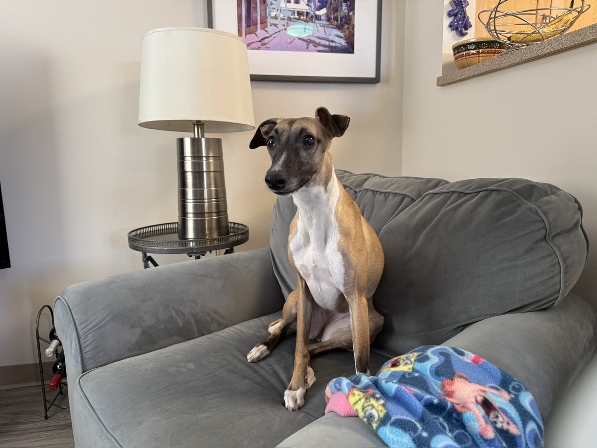 Steven A. Jenkins tweet media