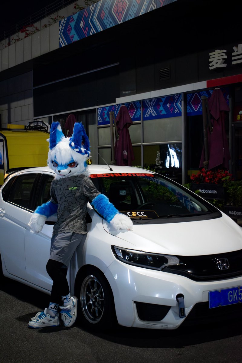 椰子树Gabriel tweet media