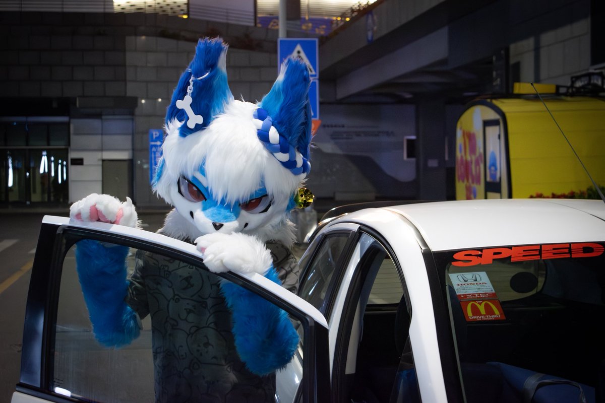 椰子树Gabriel tweet media