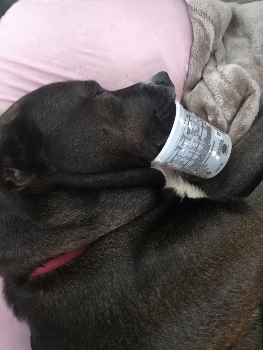 Matthew Rife tweet media