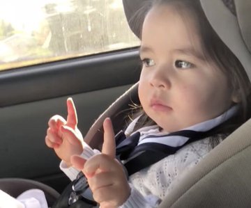 certified liar tweet media