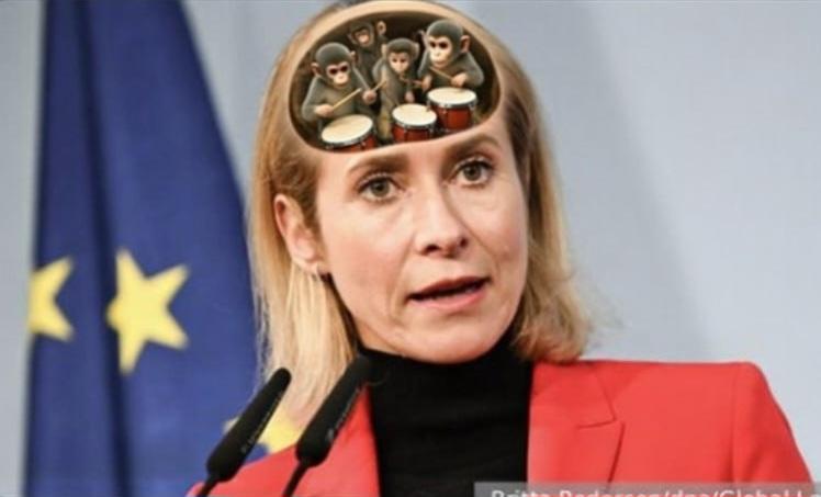 The Nightly Observer tweet media