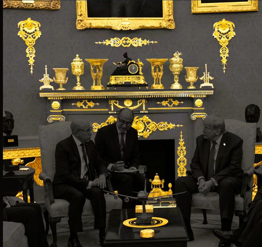 #OpStopFascism tweet media