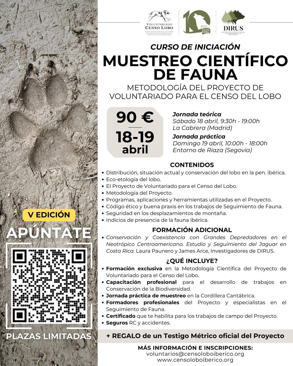 Proyecto Lobo: Voluntariado Censo Lobo Ibérico tweet media