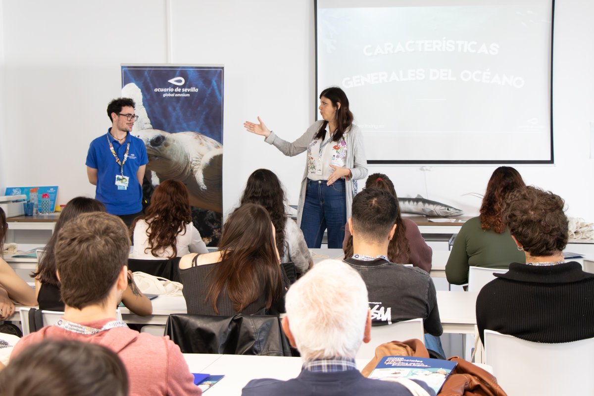 AcuarioSevilla's tweet image. ¡Arranca la microcredencial 'Conservación de la biodiversidad marina' junto a la @pablodeolavide! 🌊🎓

27 estudiantes se formarán con nuestros técnicos, acercándose a la realidad del mercado laboral en zoología y biología marina.

#AcuarioSevilla #UPO #Formación #Conservacion
