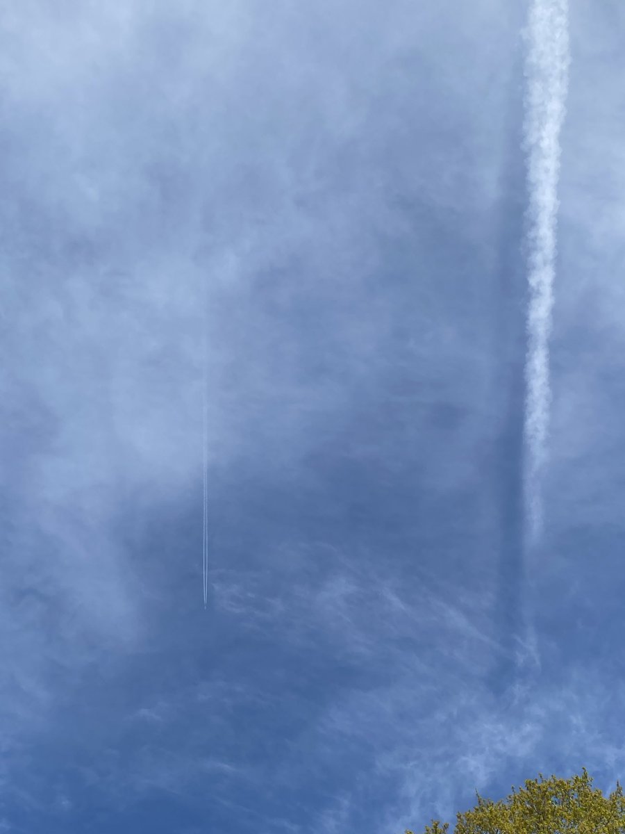 Jyl Ferris tweet media