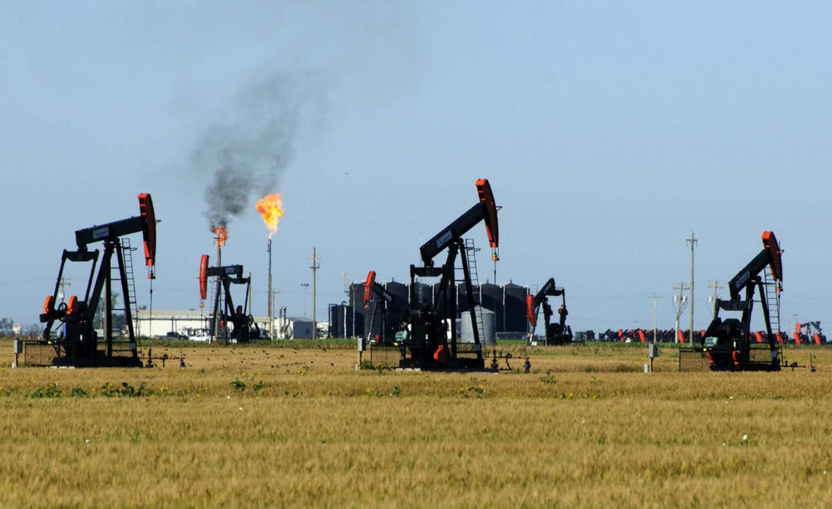 TomFragt tweet media